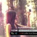 ผีเสื้อที่หายไป