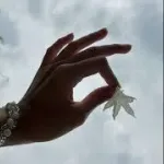 ผกา (Flower)