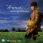 เลือกคำว่าเจ็บ เก็บไว้คนเดียว